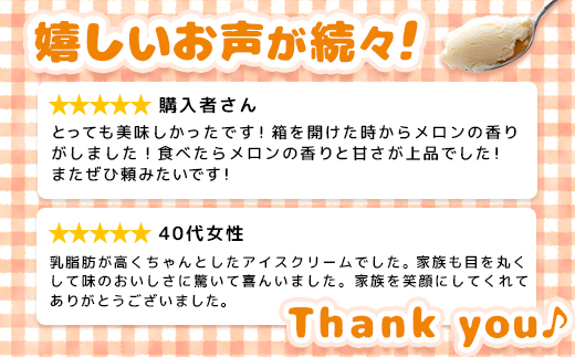 【Secoma】北海道アイスクリーム（メロン12個セット）【01102】