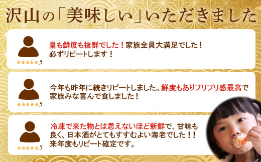 超速リキッド凍結でドリップゼロ！北海道羽幌産生鮮ぼたんえび 600g【0311801】 600g（200g×3パック）