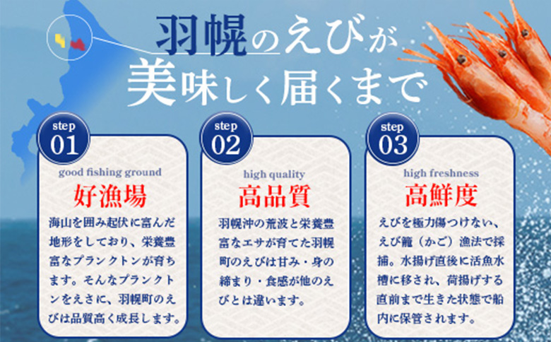 超速リキッド凍結でドリップゼロ！北海道羽幌産生鮮甘えび 200g【0312401】 200g（200g×1パック）