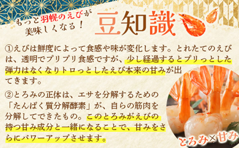 超速リキッド凍結でドリップゼロ！北海道羽幌産生鮮ぼたんえび 400g【03127】 400g（200g×2パック）