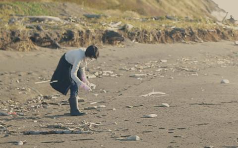 ウミガラスと卵のピンバッジ【26001】