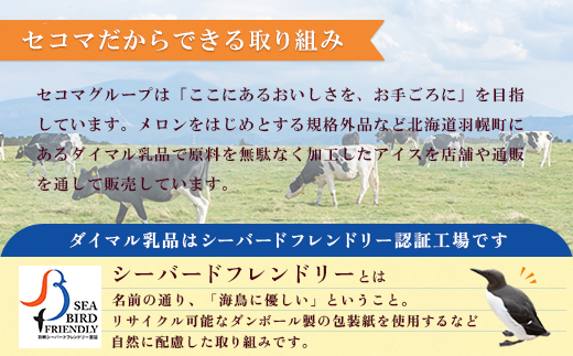 【Secoma】北海道アイスクリーム6個セット 3種×各2個（バニラ・メロン・チョコ）【01106】