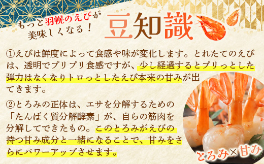 【訳あり】 ぼたんえび 1kg （小サイズ）【0512402】