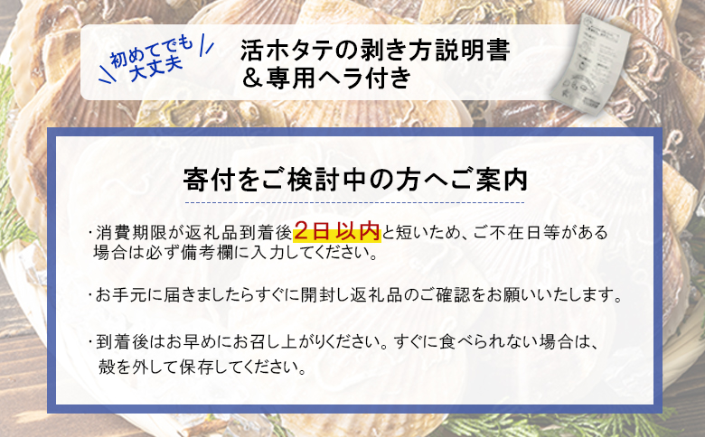 【予約受付開始！】北海道 羽幌町産 殻付き活ホタテ 約3kg（15～20枚・ヘラ付き）【0910203】