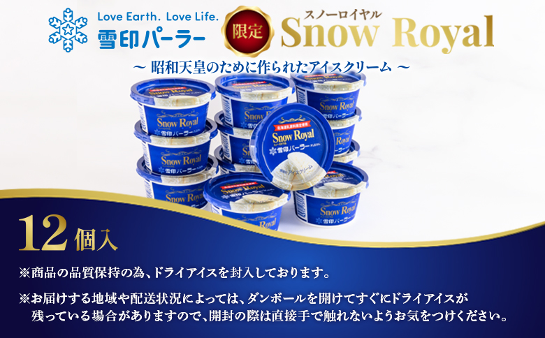 雪印パーラー スノーロイヤル 12個セット【2310103】 140ml×12個