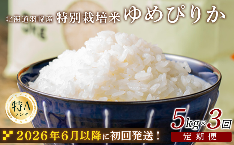 ★６月以降発送★【2025年産】 【定期便：3回】 北海道羽幌産 特別栽培米 ゆめぴりか5kg【0812502】