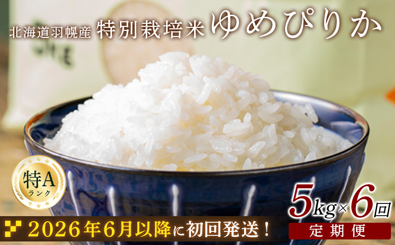 ★６月以降発送★【2025年産】 【定期便：6回】 北海道羽幌産 特別栽培米 ゆめぴりか5kg【0811302】