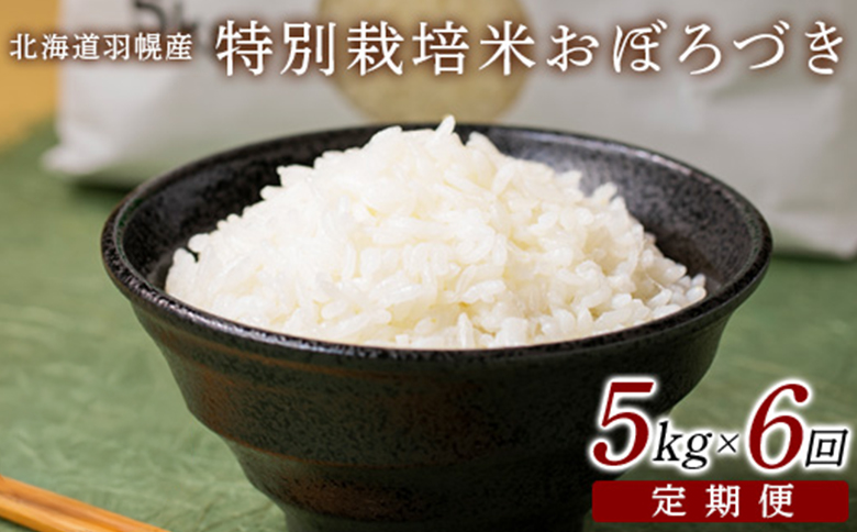 【2025年産】 【定期便：6回】 北海道羽幌産 特別栽培米 おぼろづき5kg【0811402】