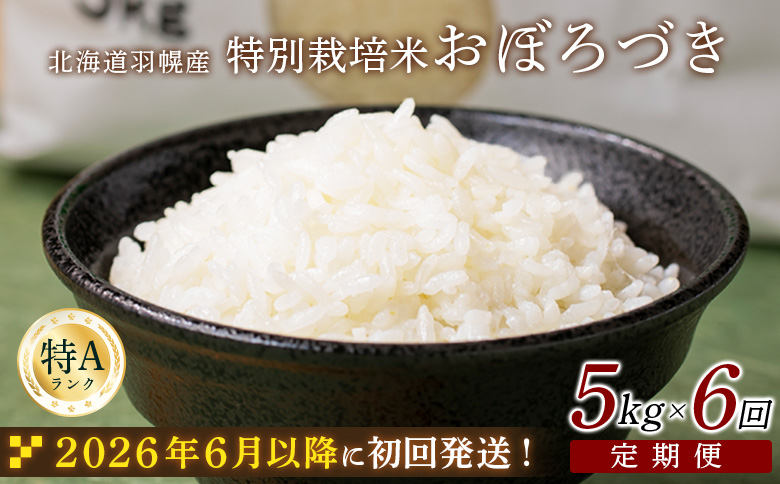 ★６月以降発送★【2025年産】 【定期便：6回】 北海道羽幌産 特別栽培米 おぼろづき5kg【0811402】