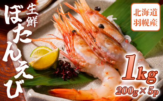 超速リキッド凍結でドリップゼロ！北海道羽幌産生鮮ぼたんえび 1kg【0311901】 1kg（200g×5パック）