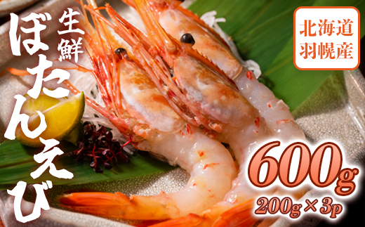 超速リキッド凍結でドリップゼロ！北海道羽幌産生鮮ぼたんえび 600g【0311801】 600g（200g×3パック）