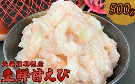 北海道羽幌産 冷凍むき甘えび 500g【0311401】 500g（500g×1パック）