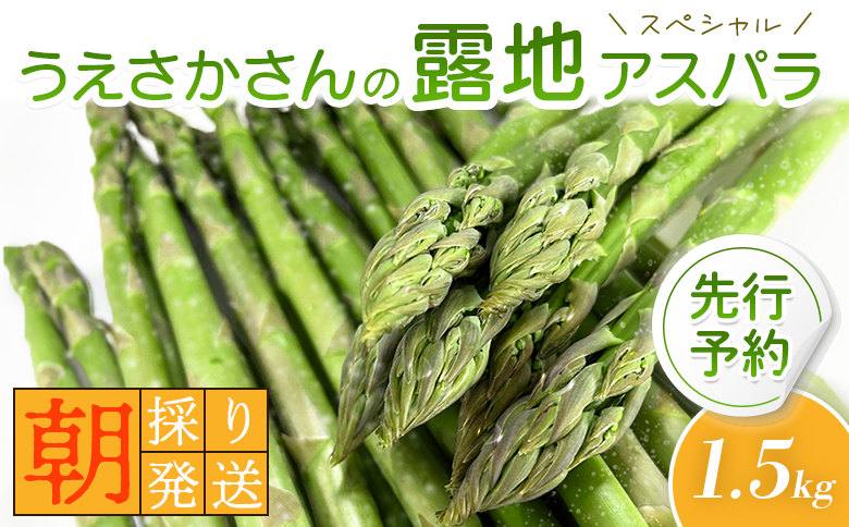 【2026年 先行予約！】【朝採り発送】うえさかさんの露地アスパラ スペシャル 1.5kg【20101】