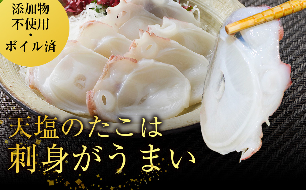 12月発送先行予約 自信作！天塩産たこ足４本セット＜浪岡屋＞