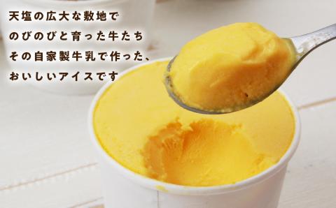 べこちちFACTORY★アイスおまかせ12個セット(容量:120g×12個(季節によってセレクト)