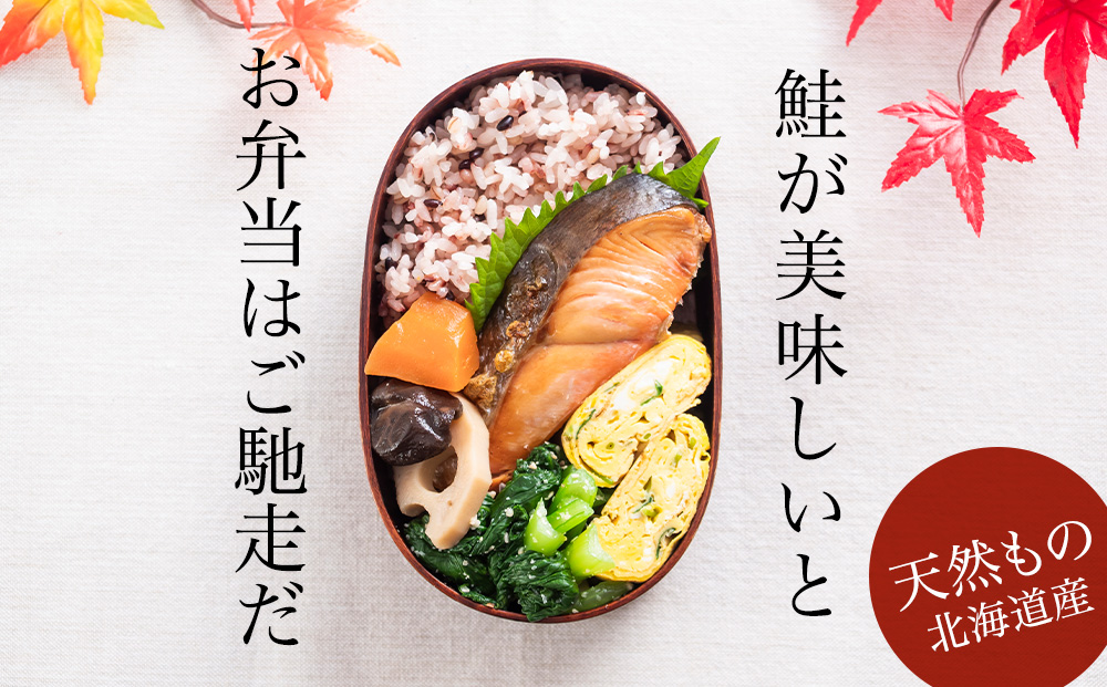 ☆北海道産 塩サケ切り身 3kg