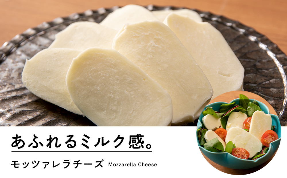 べこちちFACTORY★チーズおまかせ定期便 全3回★2カ月に1回お届け