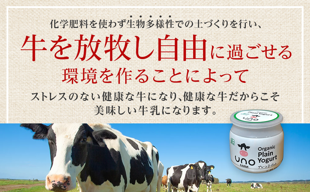 オーガニックプレーンヨーグルト（無糖）6個セット ヨーグルト 有機生乳 北海道牛乳 北海道ふるさと納税