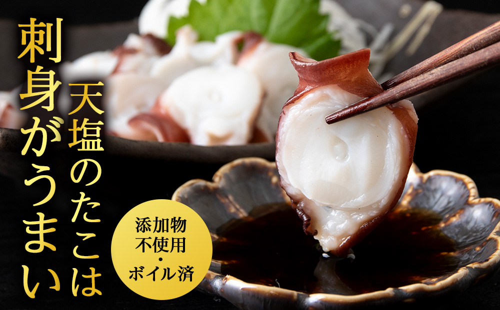 12月発送先行予約 たこ足（1欠片×5）計500～550ｇ＜浪岡屋＞