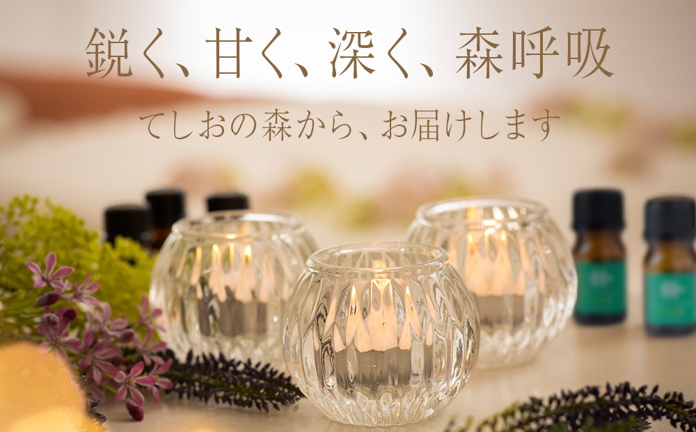 最北のトドマツ精油４ml エッセンシャル・オイル トドマツ ×3