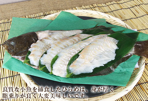 新鮮！ヒラメの姿造り(4~6人前)〈天塩の國〉