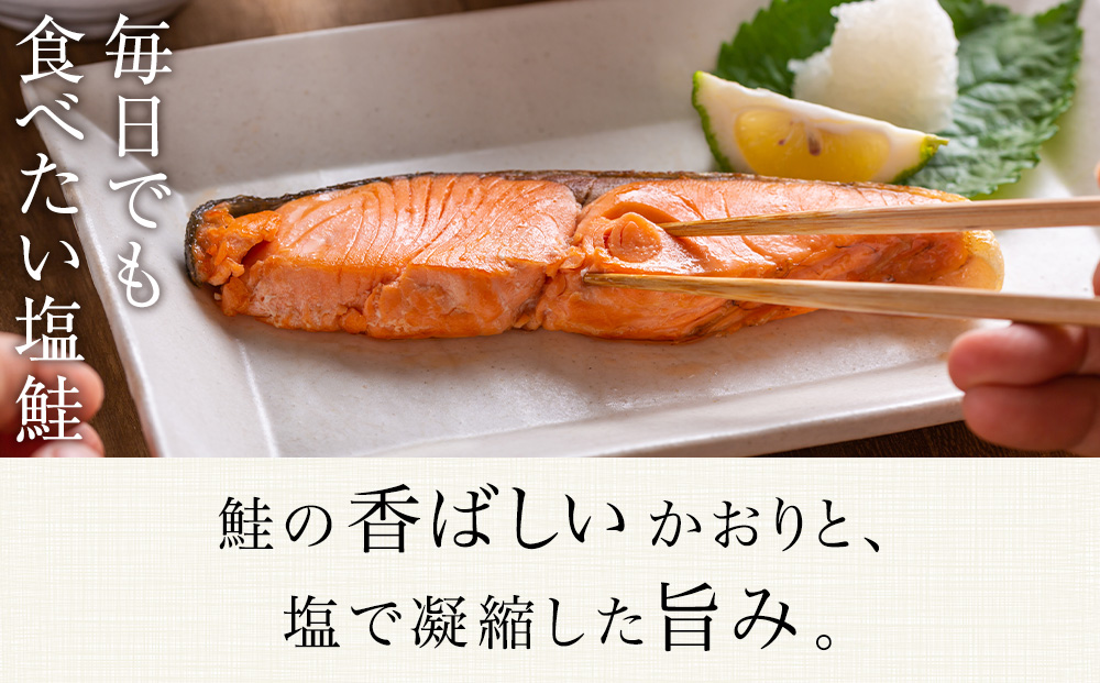☆北海道産 塩サケ切り身 6kg