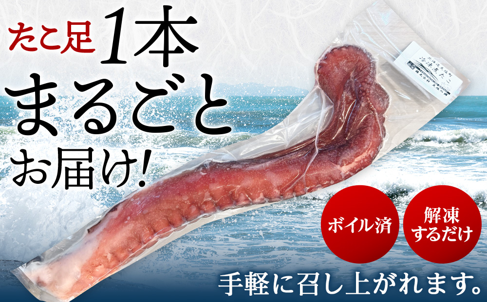 北海道天塩町 煮たこ 足 700ｇ前後＜天塩の國＞