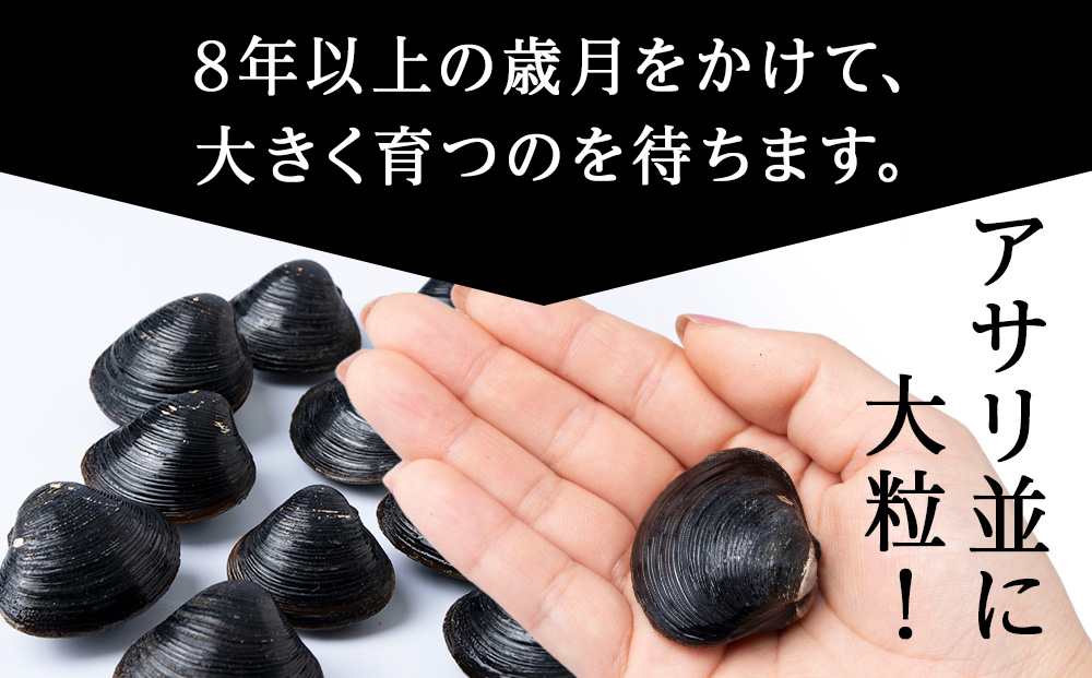 天塩町名産冷凍しじみ［特大サイズ］（700g）2パック入り＜北るもい漁業協同組合 天塩支所＞