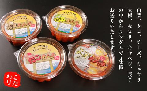 てしおキムチ工房　ランダム4種セット