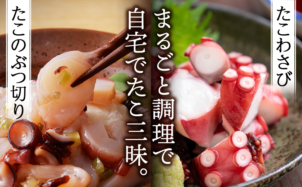 北海道天塩町 煮たこ 足 700ｇ前後＜天塩の國＞