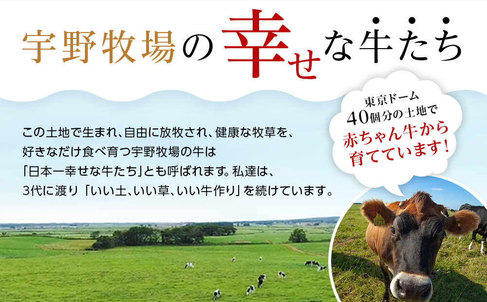 オーガニックスイーツヨーグルト（加糖）4個セット ヨーグルト 有機生乳 北海道牛乳 北海道ふるさと納税