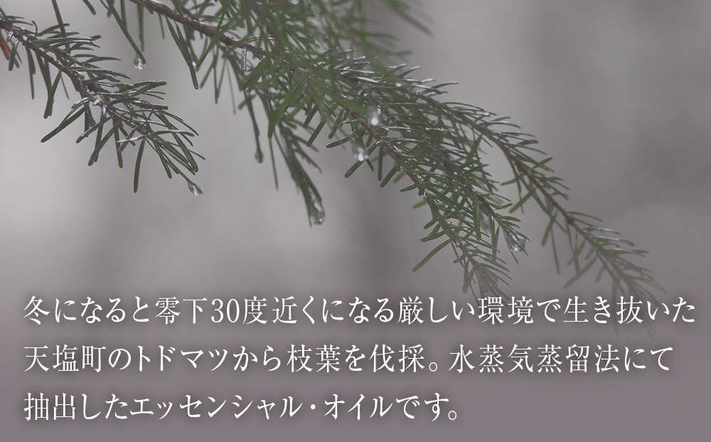 最北のトドマツ精油４ml エッセンシャル・オイル トドマツ ×3