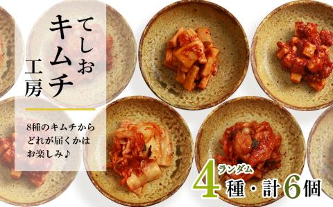 てしおキムチ工房・キムチおまかせランダム6個セット ＜天塩の國＞