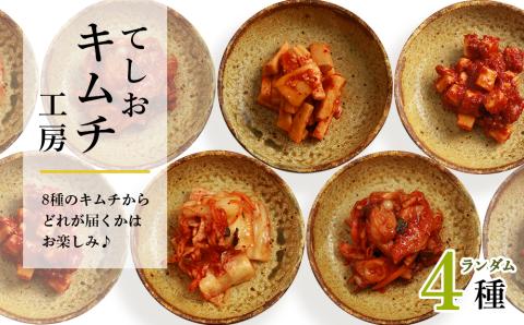 てしおキムチ工房　ランダム4種セット