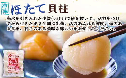 北隆丸 冷凍ジャンボほたてセット ほたて貝柱500ｇ（13～20玉）・ハーフボイルほたて500ｇ（8～12個）オホーツク産（ホタテ 冷凍 海鮮 大粒 北海道 オホーツク）【1602501】