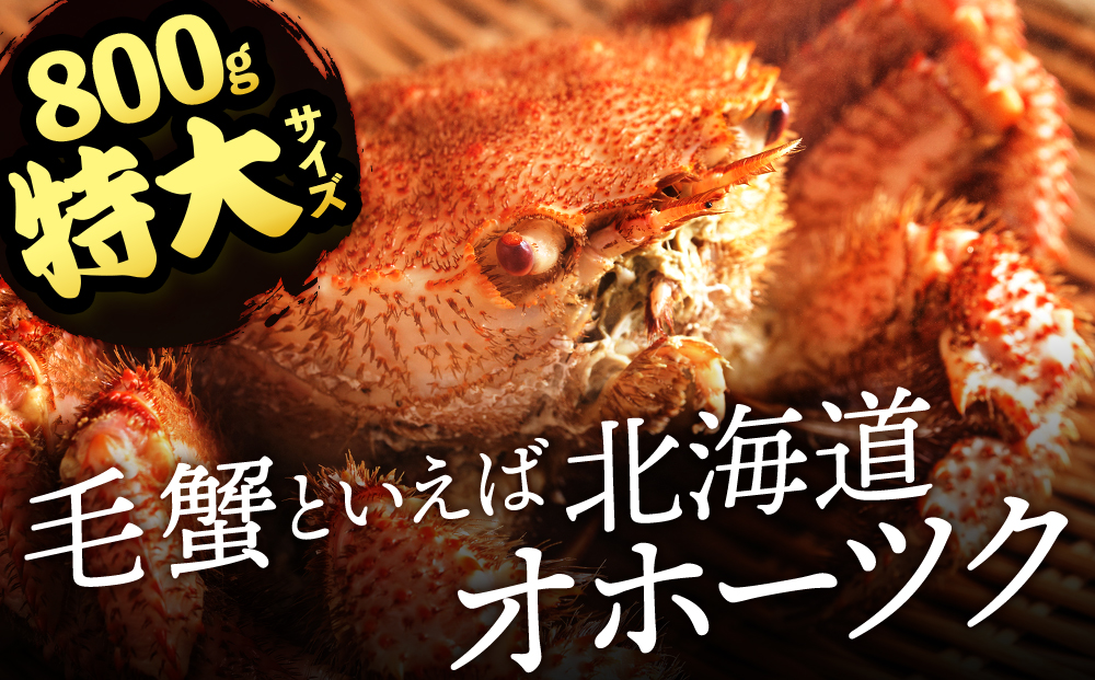 ☆北海道産 毛ガニ 約800g×2尾 セット かに 蟹 毛蟹 冷凍 北海道産 浜頓別町