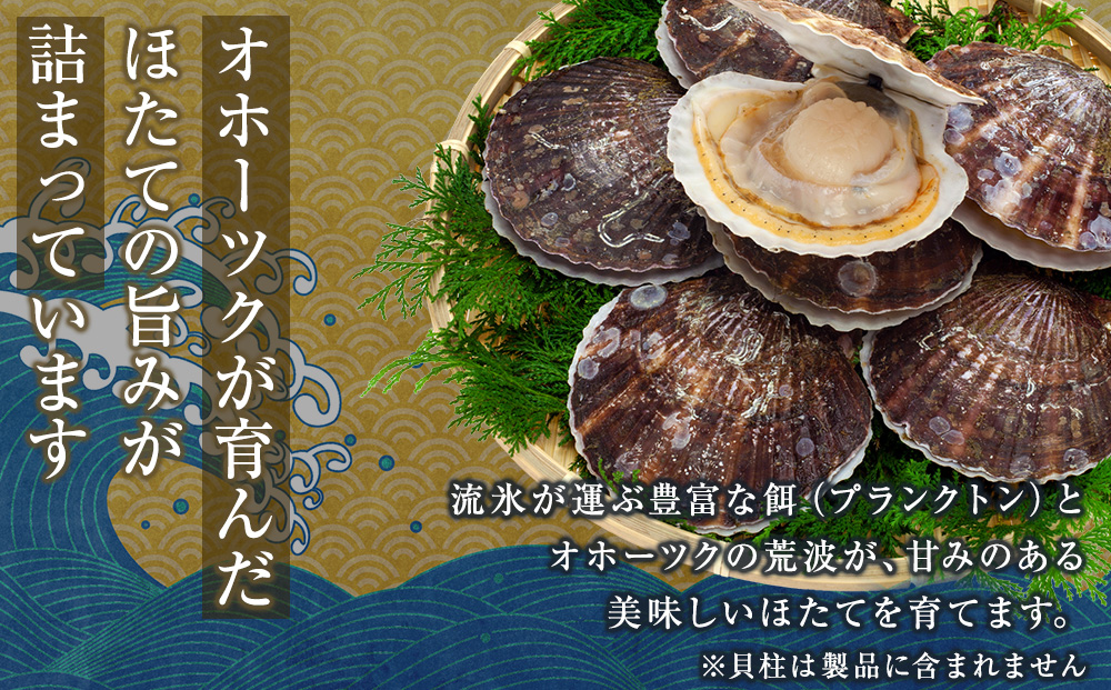 帆立の浜頓煮 60g 5個【横田水産】