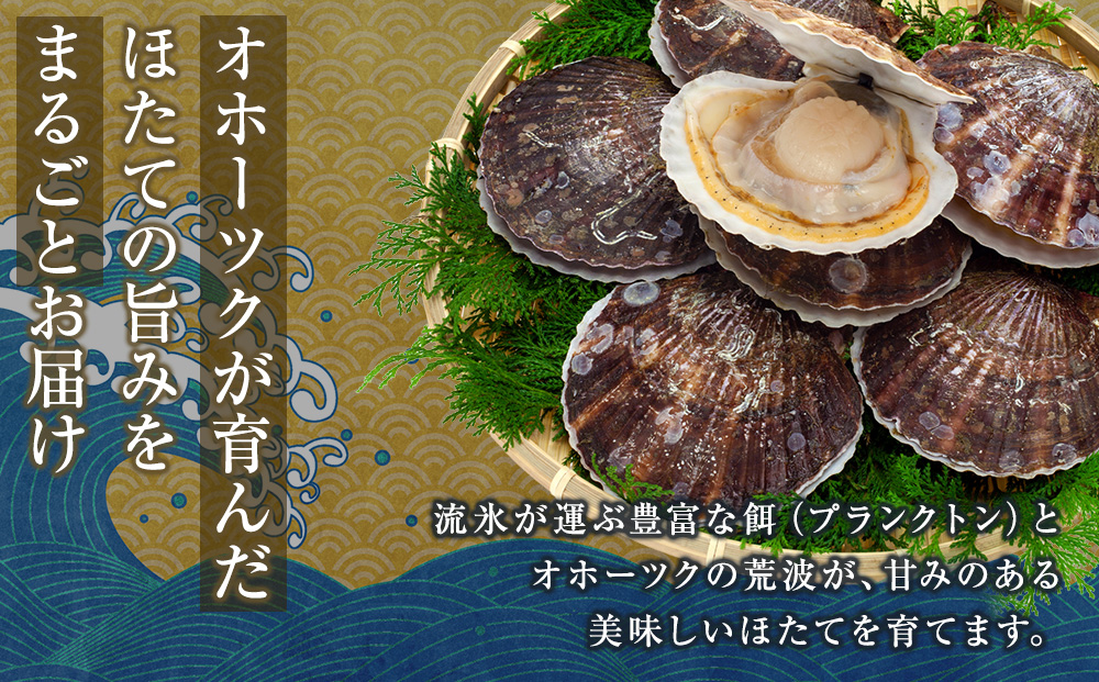 帆立の浜頓煮 60g1個 冷凍帆立 200g2袋セット【横田水産】