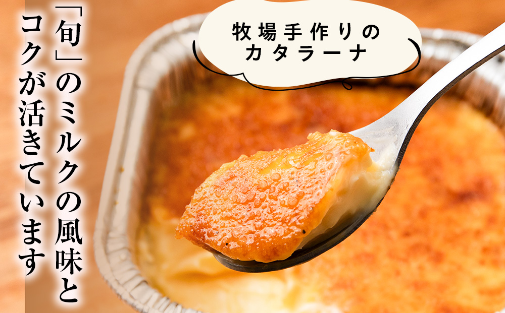 北海道 お菓子 スイーツ カタラーナ 3種 セット アイス 冷凍 ギフト 箱入り