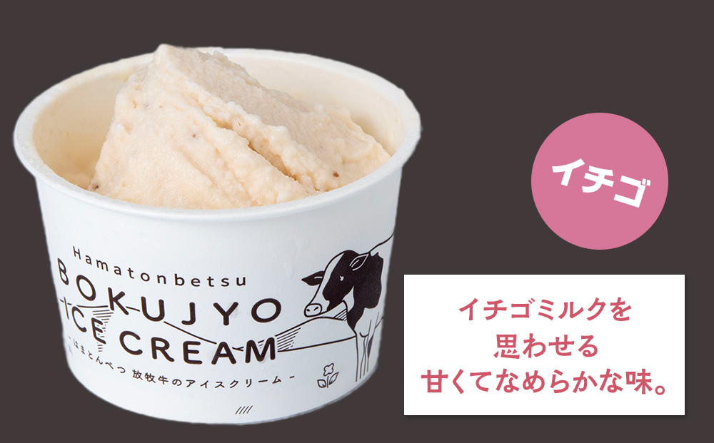 放牧牛 アイスクリーム2種（イチゴ・チョコ　各3個）計6個 【池田牧場】
