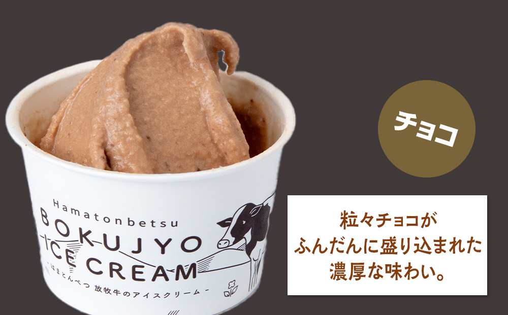 アイスクリーム 12個（チョコ） 【池田牧場】