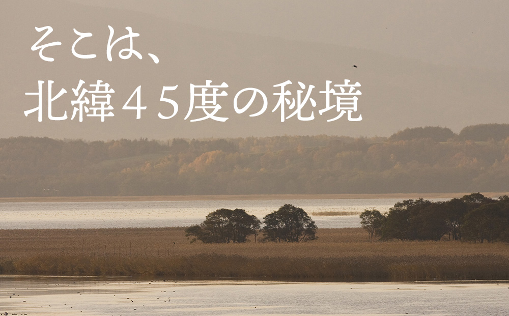 カヌー 体験 チケット 1名様《クッチャロ湖エコワーカーズ》秘境 ショートコース クッチャロ湖 アウトドア