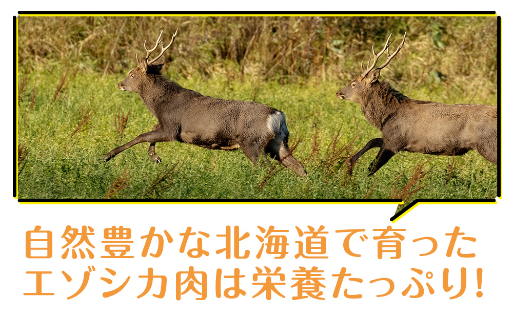 犬 おやつ 無添加 国産 エゾ鹿 アキレス ジャーキー (100g) 肉付 歯磨き 歯石 ガム 犬用 トリーツ ペットフード ドッグフード 干肉  エゾシカ: 浜頓別町ANAのふるさと納税