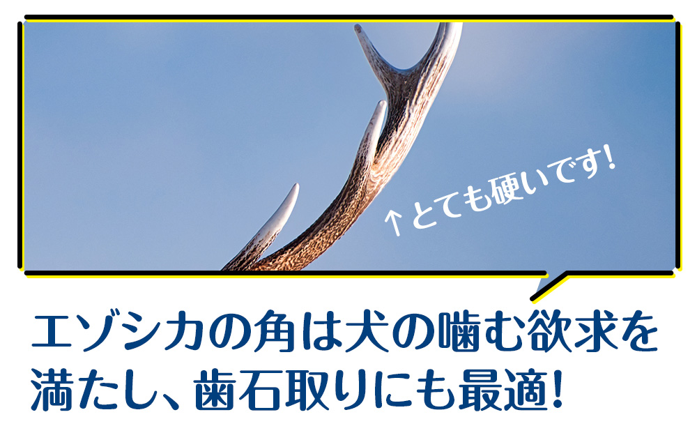 犬 おもちゃ おやつ 無添加 国産 エゾ鹿 鹿角 (200g～300g) 歯磨き 歯石 ガム 犬用 鹿の角 トリーツ ペットフード ドッグフード エゾシカ