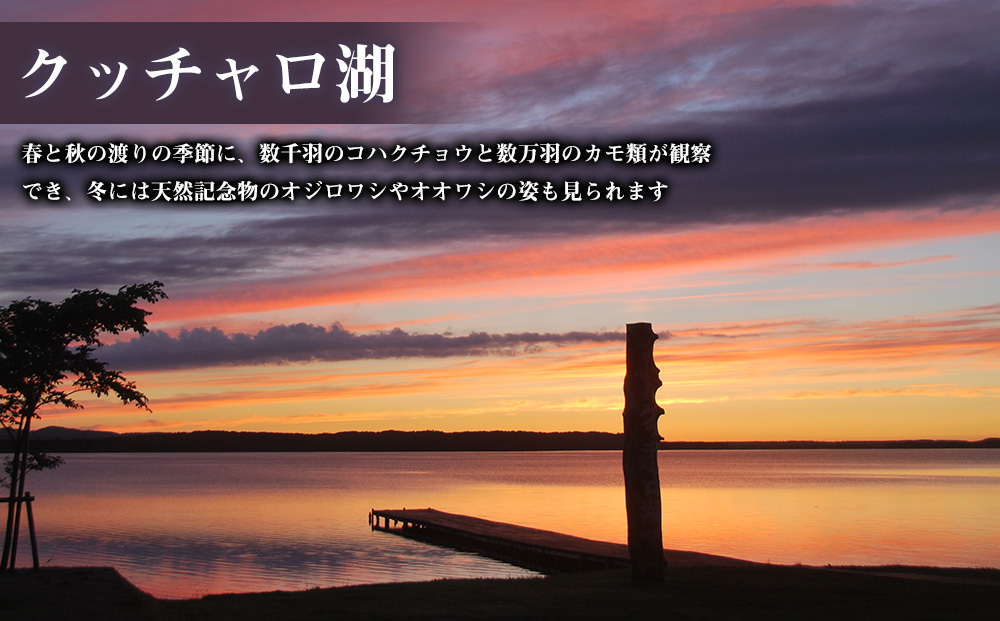 北海道 浜頓別町 ☆応援寄附金☆【返礼品なし】10,000円分 ふるさと納税 寄附のみ
