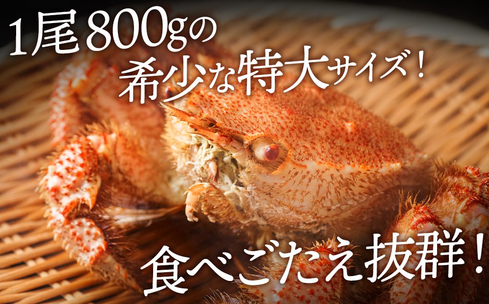 ☆北海道産 毛ガニ 約800g×2尾 セット かに 蟹 毛蟹 冷凍 北海道産 浜頓別町