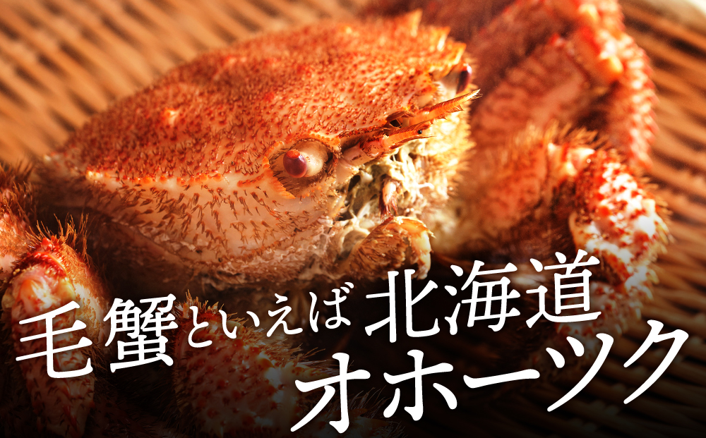 ☆北海道産 毛ガニ 約500g×1尾