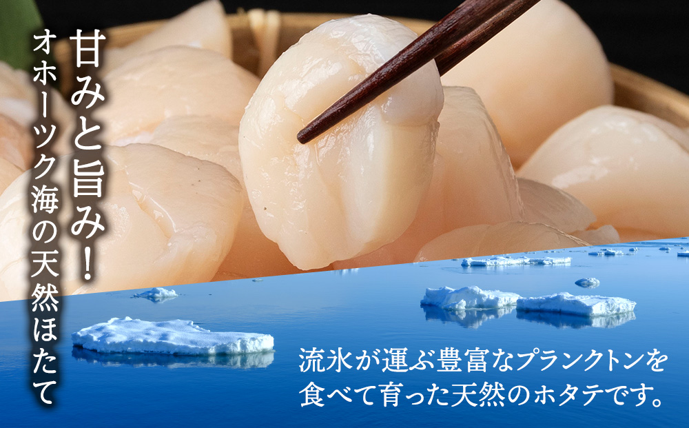 浜頓別一等 ホタテ貝柱 1.1kg