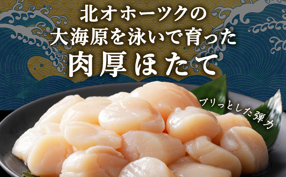 ホタテ（特（不揃い））　1kg