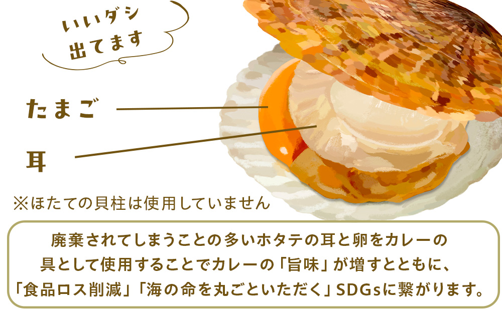 ホタテの卵とミミのはまとんカレー（中辛）2箱